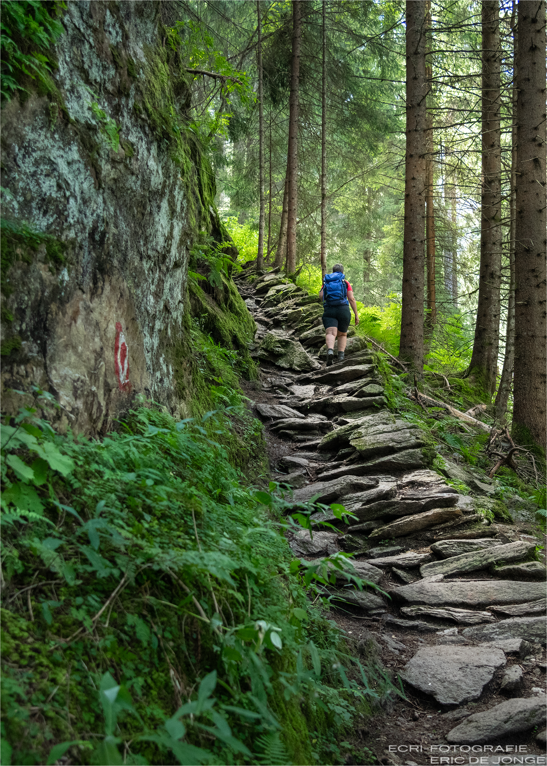 Wandeling langs de Krimml Römerweg